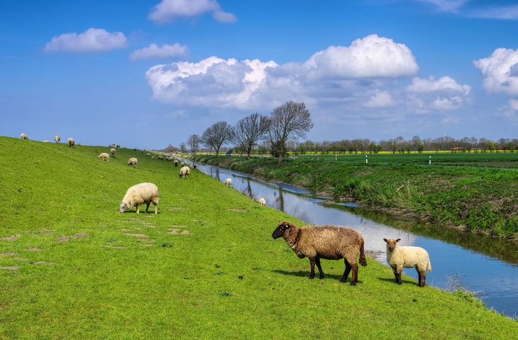 Ihlow in Ostfriesland