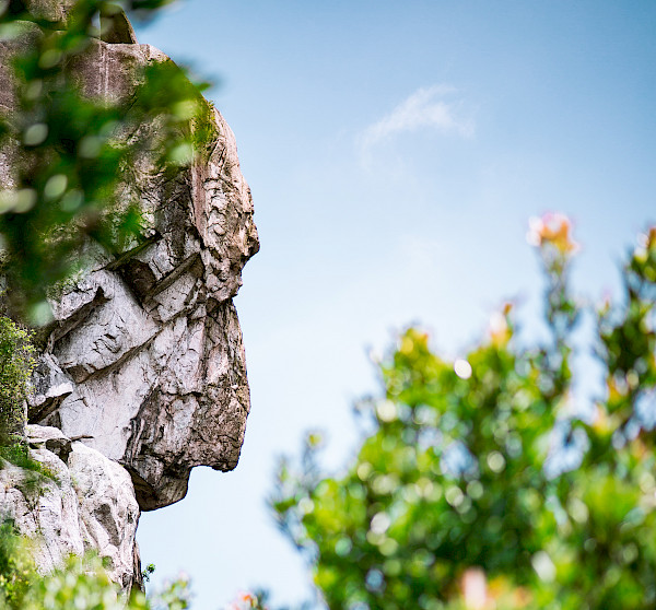 Mit etwas Fantasie erkennt man den Löwen im Fels: Der Lion Rock ist ein beliebtes Wanderziel; Foto: privat