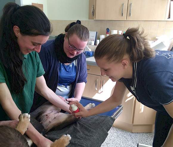 Praktische Übung: Die Studentin Lisa Xylander (rechts) assistiert bei einer Behandlung; Foto: Bunter Hund Leipzig e.V.