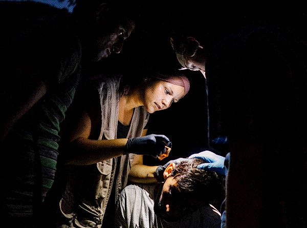 Nach Einbruch der Dunkelheit arbeiten die Helfer mit Stirnlampen weiter. Foto: Till Gläser